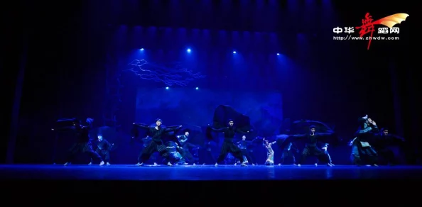 舞蹈室里的景色李欣赵峰精彩对话：探讨舞蹈艺术的表达意图与身体语言的深层次交流