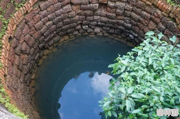 暗邪西部游戏配置要求详解及推荐配置方案解析 暗邪西部游戏配置要求详解及推荐配置方案解析