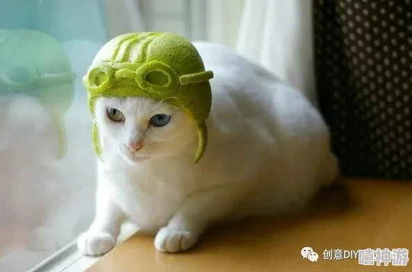 糖心柚子猫甘雨的情人节礼物：网友纷纷表示这份礼物太有创意，甜蜜又温馨，让人感受到浓浓的爱意！