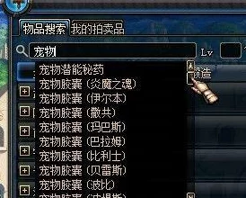 DNF今年宠物选择指南：如何挑选最适合你的属性搭配