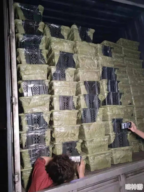 黑料pom海角：网友热议其内容真实性，纷纷表示对平台监管的担忧与期待，呼吁加强信息审核机制