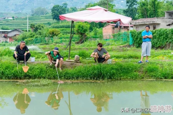 精产国品一二三产区区大学：解析区域经济发展对高等教育的影响与机遇及其在产业升级中的作用