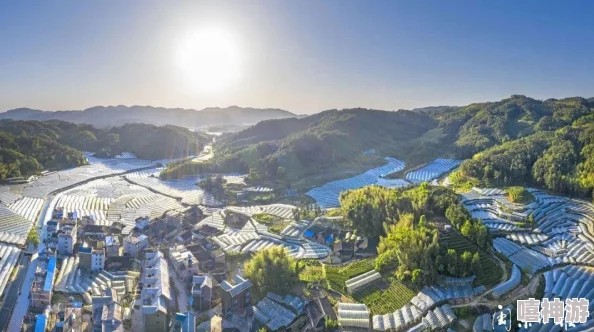 精产国品一二三产区区大学：解析区域经济发展对高等教育的影响与机遇及其在产业升级中的作用