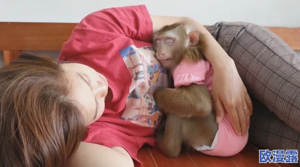 两人生猴子不盖被子的图片，展现了人与动物之间的奇妙互动与温馨瞬间，引发人们对生活方式的思考与讨论
