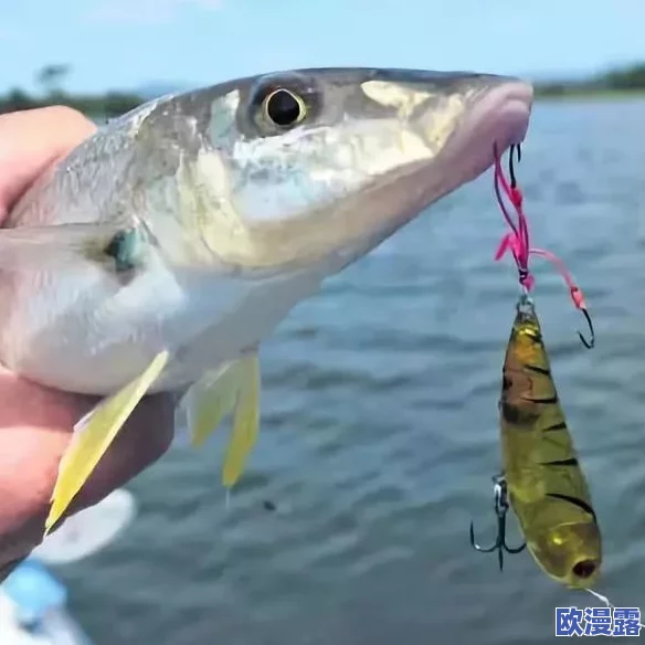 探寻潜行鳟鱼的最佳捕捉地点与技巧指南