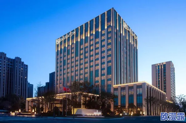 被黄漫网站视频在线观看，数百万用户信息泄露引发广泛关注，网络安全问题再度成为焦点！