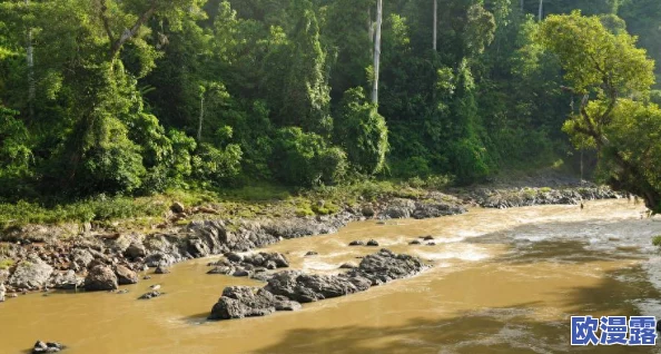美女bbbb：惊天消息曝光，竟然在国际舞台上引发了巨大的轰动与关注，令人瞠目结舌！
