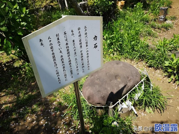 DNF游戏中神龙天女角色选哪个称号更加合适