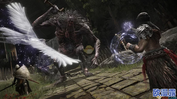 比较艾尔登法环中的狼群与水母，哪个在战斗中更具优势？