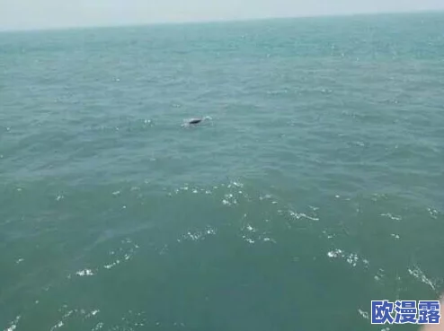 全面解析精灵梦世界:精灵中心功能玩法及特色详细说明指南 全面解析精灵梦世界:精灵中心功能玩法及特色详细说明指南