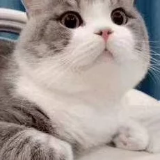 七猫小说怎么改名-改名方法介绍 七猫小说怎么改名-改名方法介绍