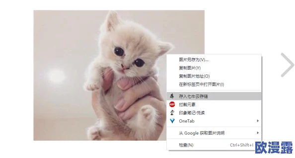 七猫小说怎么改名-改名方法介绍 七猫小说怎么改名-改名方法介绍