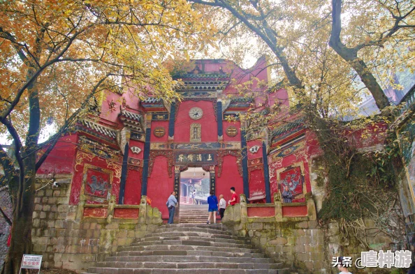 如何选购三角洲行动系列重型登山背包,专业指南解析 如何选购三角洲行动系列重型登山背包,专业指南解析