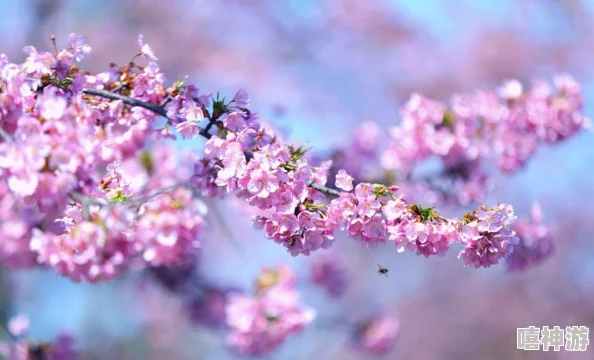 探索云游戏官网入口指南：分享畅玩云游戏的最佳网站推荐