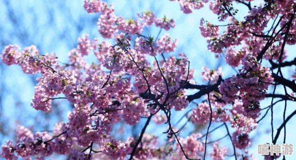 探索云游戏官网入口指南:分享畅玩云游戏的最佳网站推荐 探索云游戏官网入口指南:分享畅玩云游戏的最佳网站推荐