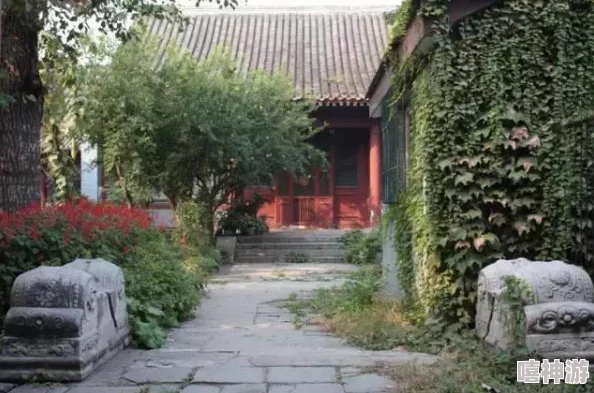 我的门派详细建筑规划图文指南及设计说明