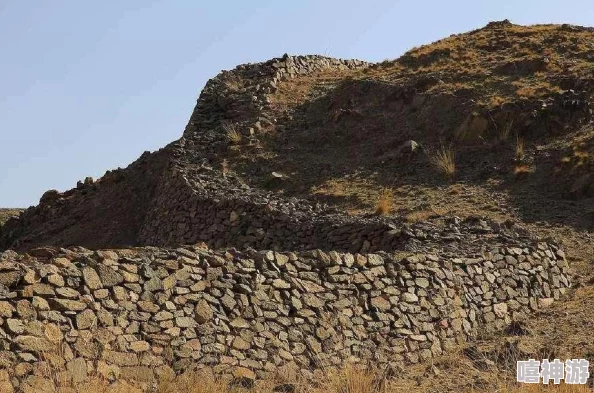 深度剖析：王国两位君主的游戏系统与玩法机制解析