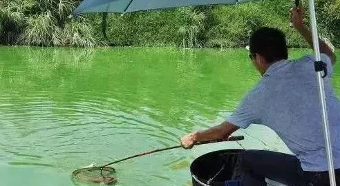 深度解读钓鱼艺术:欢乐大师揭秘独门钓大鱼绝技与精细技巧全面剖析盛会 深度解读钓鱼艺术:欢乐大师揭秘独门钓大鱼绝技与精细技巧全面剖析盛会