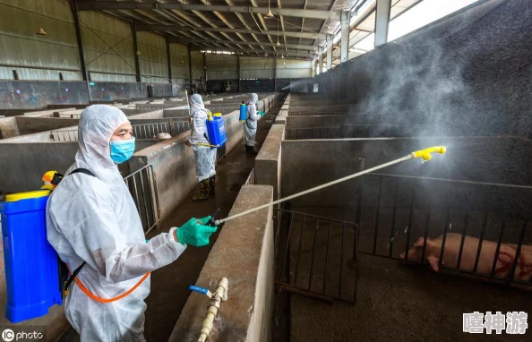 禁游手游免费下载网站：如何安全获取热门游戏资源，避免潜在风险与法律问题的全面指南