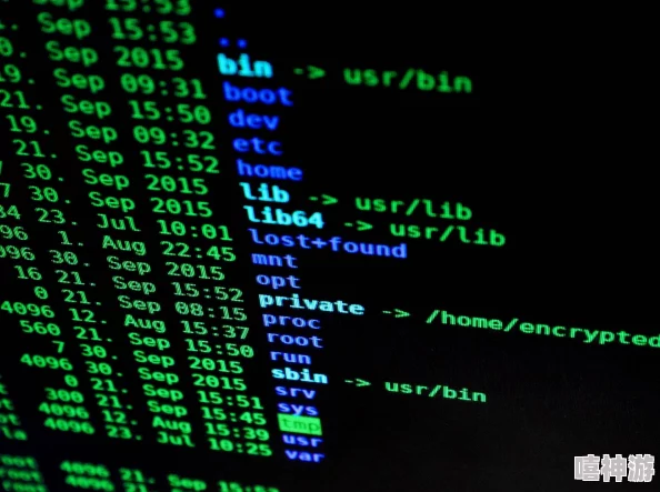 黑料网2024：揭示网络背后的真相与隐秘，探讨信息传播对社会的深远影响与未来发展趋势