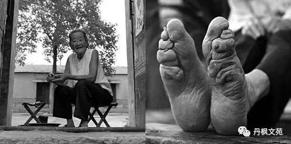 老女人裸体婬交:揭示社会对年龄与性欲的偏见,挑战传统观念,引发热议与思考 老女人裸体婬交:揭示社会对年龄与性欲的偏见,挑战传统观念,引发热议与思考