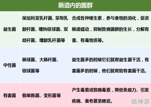 小洞需要大肉肠:如何在生活中找到解决问题的最佳方法与策略 小洞需要大肉肠:如何在生活中找到解决问题的最佳方法与策略