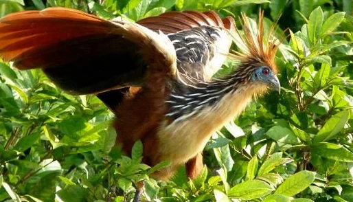 三角洲行动新手玩家推荐选择的武器类型指南