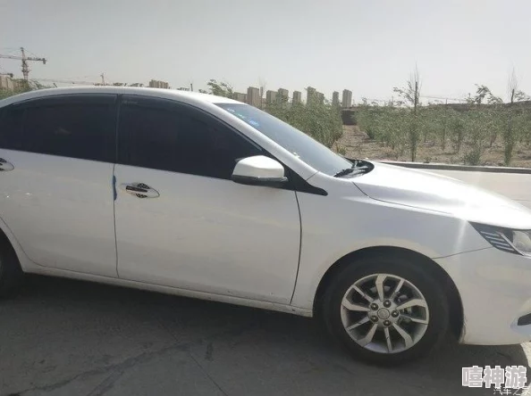 双男黄车多细写+腐肉:深入解析角色关系与情感发展 双男黄车多细写+腐肉:深入解析角色关系与情感发展