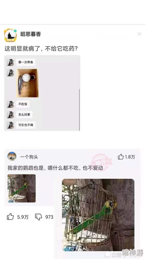 acca少女网课韩国,网友热议:这课程真的适合零基础吗?学习效果如何呢? acca少女网课韩国,网友热议:这课程真的适合零基础吗?学习效果如何呢?