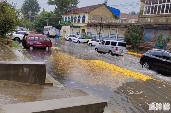 中に突然の大雨一雨宿:面对突如其来的暴雨,我们应如何做好防范与应对措施,以保障人身安全和财产损失最小化? 中に突然の大雨一雨宿:面对突如其来的暴雨,我们应如何做好防范与应对措施,以保障人身安全和财产损失最小化?