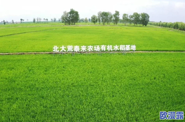 2024年经典单机农场游戏回顾:那些年我们追过的农场手游叫什么名字 2024年经典单机农场游戏回顾:那些年我们追过的农场手游叫什么名字