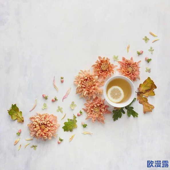 深入解析:莫尔与阿基态的独特魅力及特点介绍 深入解析:莫尔与阿基态的独特魅力及特点介绍