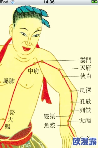 欧美成视频人免费淫片:最新动态揭示成人内容行业的变化与挑战,用户需求如何影响市场走向? 欧美成视频人免费淫片:最新动态揭示成人内容行业的变化与挑战,用户需求如何影响市场走向?