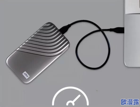 1极速版下载:全面解析其功能特点与用户体验,助力提升工作效率的最佳选择 1极速版下载:全面解析其功能特点与用户体验,助力提升工作效率的最佳选择