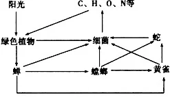17C.草吃瓜:最新动态揭示了草食动物在生态系统中的重要性及其对环境的影响,值得关注! 17C.草吃瓜:最新动态揭示了草食动物在生态系统中的重要性及其对环境的影响,值得关注!