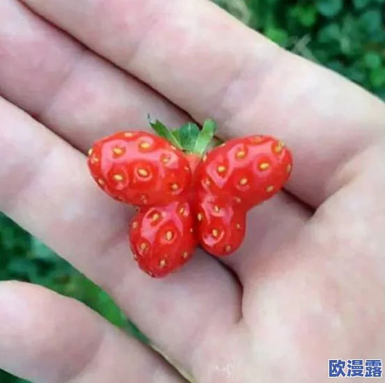 草莓丝瓜鸭脖发型,真是个奇特的组合,既有创意又让人忍俊不禁! 草莓丝瓜鸭脖发型,真是个奇特的组合,既有创意又让人忍俊不禁!