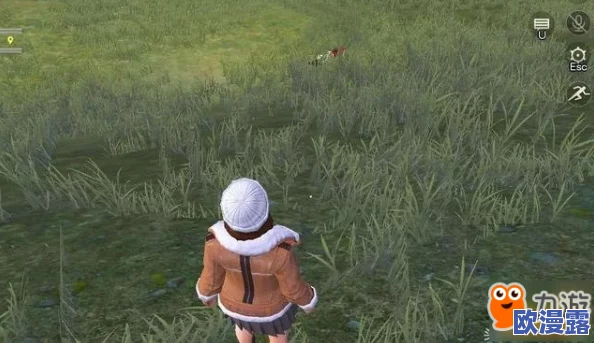 荒野行动战术大盘点：揭秘4种泥石流打法，猥琐LYB的极致制胜之道与策略解析