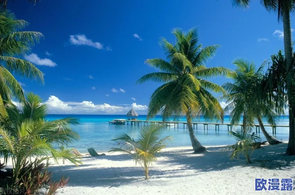 色噜噜色偷偷：某明星被拍到与神秘人士深夜约会引发热议网友纷纷猜测两人关系不一般是否在秘密交往