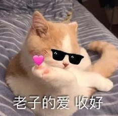 男生和女生在床上的视频全过程通过分享彼此的情感与信任，增进了相互理解与尊重，让爱情更加美好和深刻