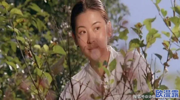 日本农村寡妇一级毛片引发热议网友讨论传统与现代观念的碰撞与冲突