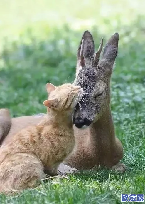 女人与宠物啪啪系列小说 这部小说以独特的视角探讨了人与动物之间的情感联系，情节引人入胜，值得一读。