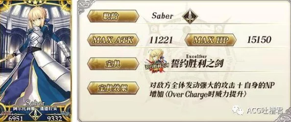 《命运/冠位指定》FGO卫宫Assassin全面解析:技能效果与实战配卡深度测评 《命运/冠位指定》FGO卫宫Assassin全面解析:技能效果与实战配卡深度测评