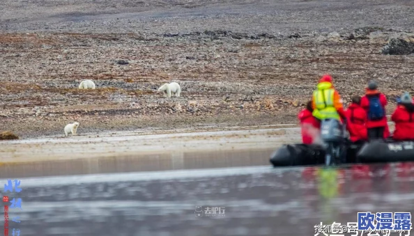日本无人区码一二三区别引发关注专家解析其对旅游安全和环境保护的重要性