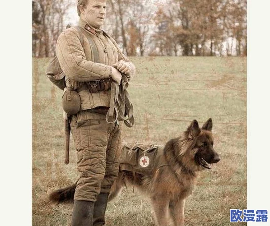 永远的7日之都：库兰的猛犬性价比全面分析，是否适合坦克角色使用详解