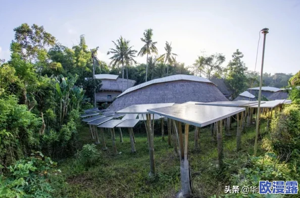 干色网积极倡导环保理念鼓励大家参与绿色行动共同创造美好未来让我们一起为地球出一份力