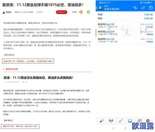 18欧美乱大交hd88av最新进展消息显示该视频在多个平台上引发热议并迅速传播吸引了大量观众关注与讨论