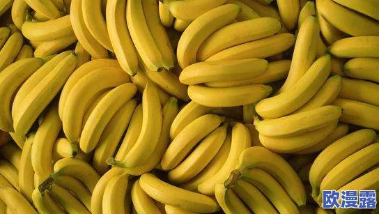 大蕉香蕉国产在线视频最新进展消息:该平台近期推出新功能,提升用户体验并增加内容多样性,吸引更多观众关注 大蕉香蕉国产在线视频最新进展消息:该平台近期推出新功能,提升用户体验并增加内容多样性,吸引更多观众关注