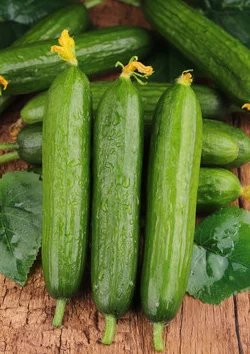 打开腿闺蜜用黄瓜让我爽在生活中我们要学会享受每一个快乐的瞬间与朋友分享美好时光让心灵更加充实